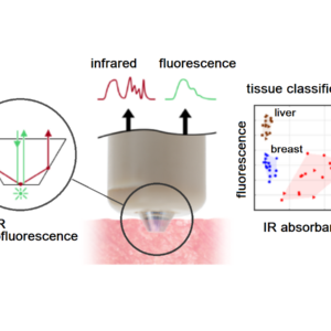 ATR- Raman- Transflection Probe